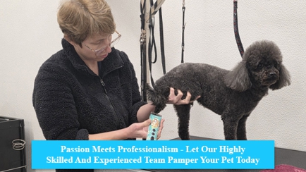 Scrub-A-Dub-Dub Dog & Cat Grooming Hero Image