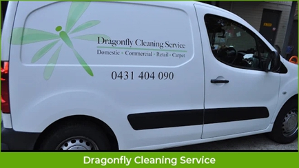 Dragonfly Cleaning Hero Image