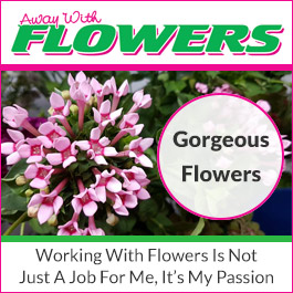 Away With Flowers