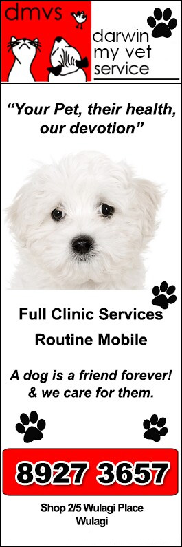 Darwin My Vet Service