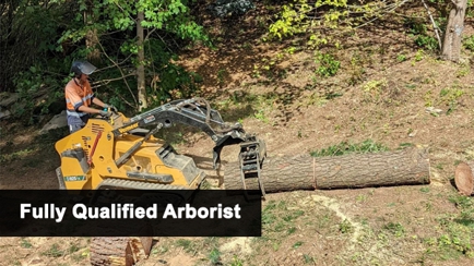 Gravity Tree Worx Hero Image