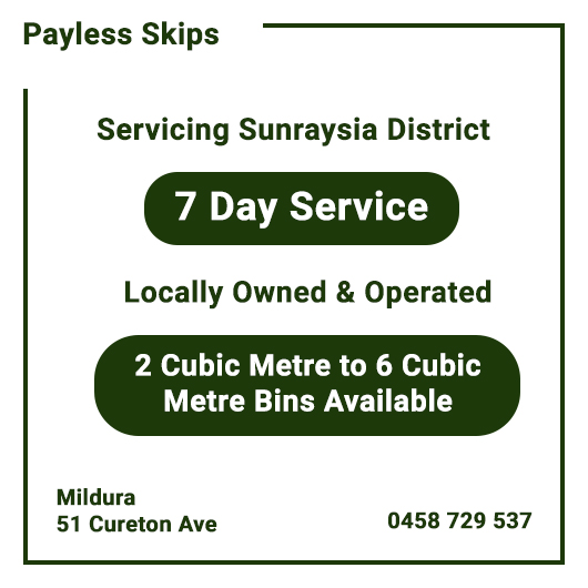 Payless Skips