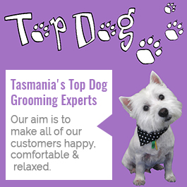 Top Dog