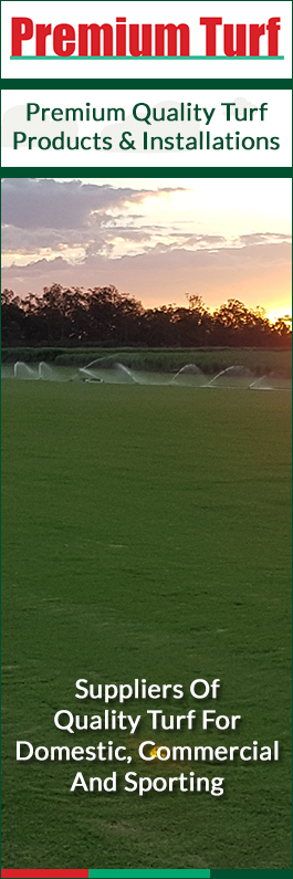 Premium Turf