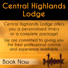 Central Highlands Lodge Miena Hotel