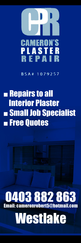 Cameron's Plaster Repair
