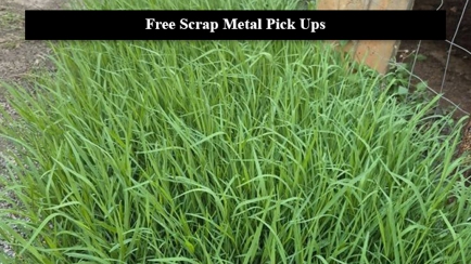 Damian's lawn Mowing Service Hero Image