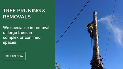 Cut Above Tree Care (Aust) Pty Ltd Hero Image