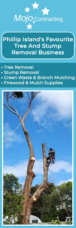 Mojo Tree And Stump Removal