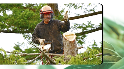 Arborzone Hero Image