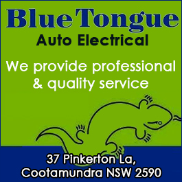 Blue Tongue Auto Electrical