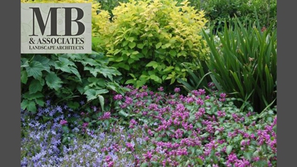 Michael Bligh & Associates Hero Image