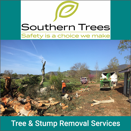 Southern Trees