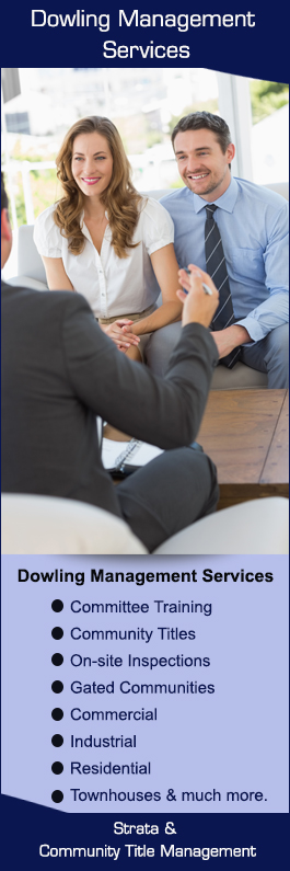 Dowling Management Services