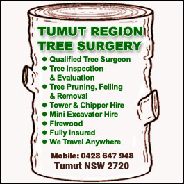 Tumut Region Tree Surgery