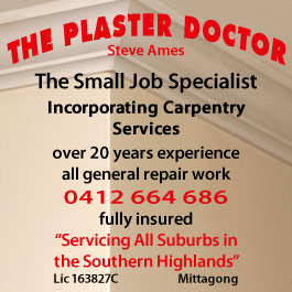 The Plaster Doctor