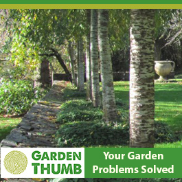 Garden Thumb