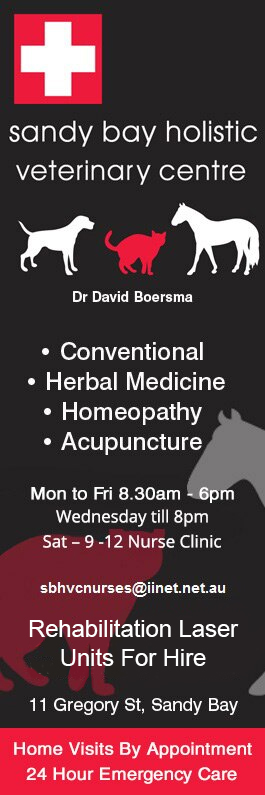 Sandy Bay Holistic Veterinary Clinic