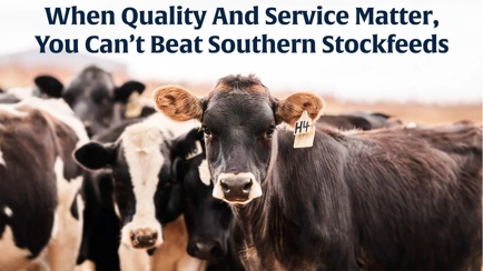 Southern Stockfeeds Hero Image