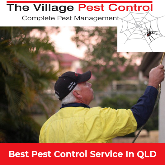 The Village Pest Control
