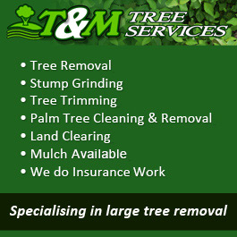T & M Tree Services