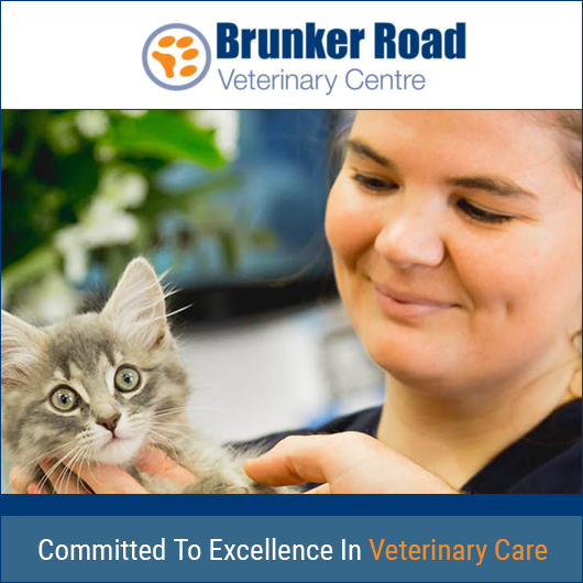 Broadmeadow Veterinary Hospital