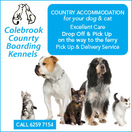 Colebrook Country Boarding Kennels
