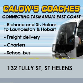 Calow's Coaches