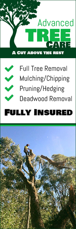 Advanced Tree Care