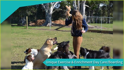Paradise Pet Parks Hero Image