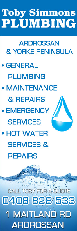 Toby Simmons Plumbing