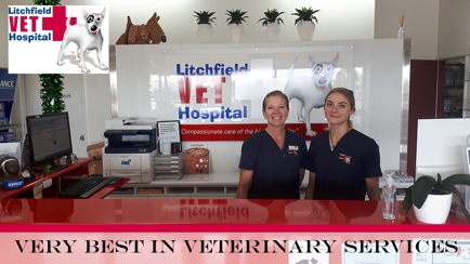 Litchfield Veterinary Hospital Hero Image