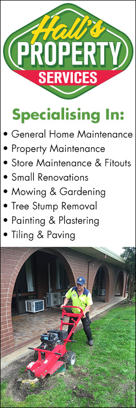 Hall's Property Services