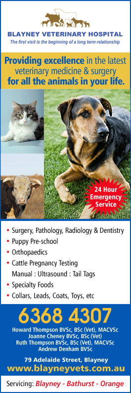 Blayney Veterinary Hospital