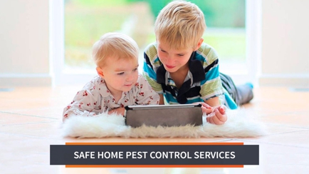 WestPest Pest Control Hero Image
