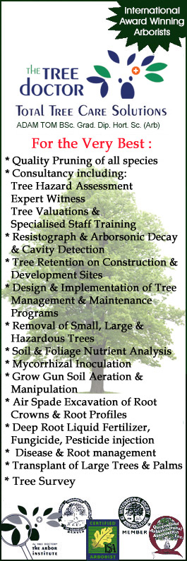 The Tree Doctor (Qld) Pty Ltd