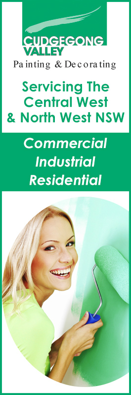 Cudgegong Valley Painting & Decorating