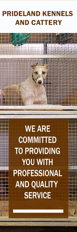 Prideland Kennels & Cattery