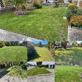 CB Gardening & Lawns