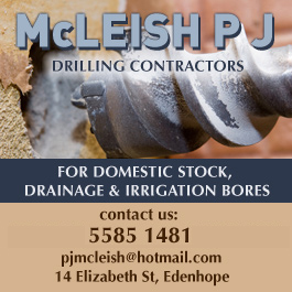 McLeish P J