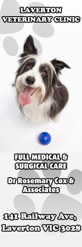 Laverton Veterinary Clinic