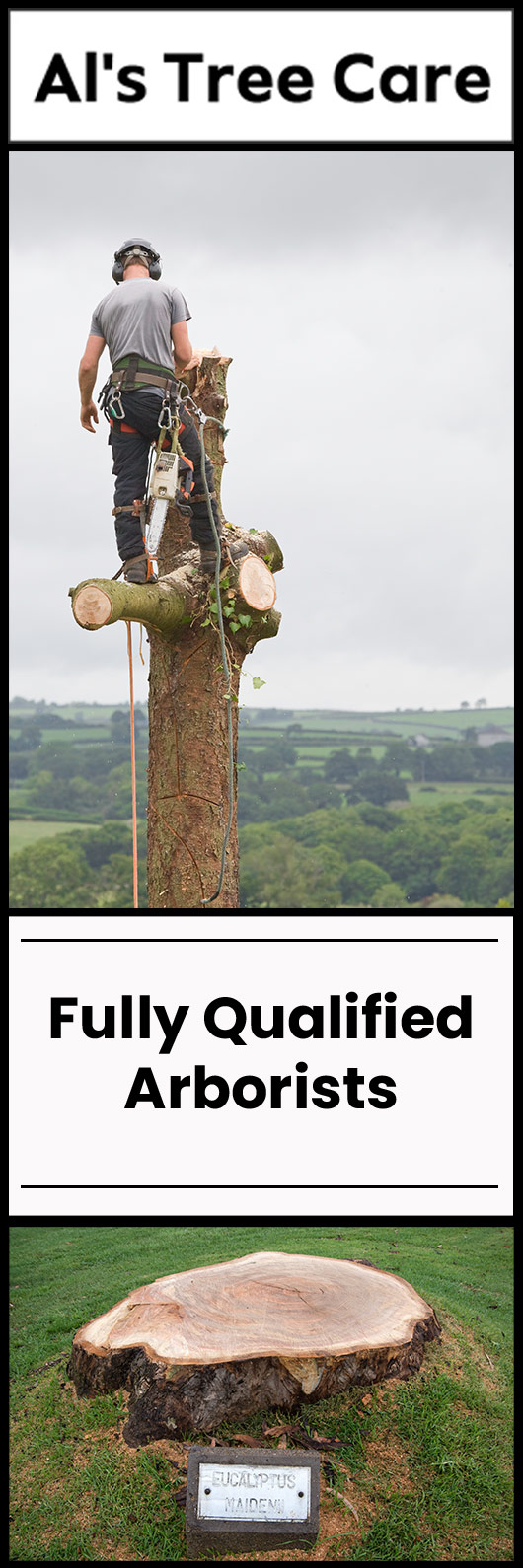 Al's Tree Care