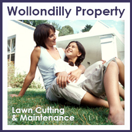 Wollondilly Property Maintenance
