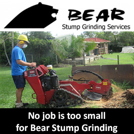 Bear Stump Grinding Services - Tree Services