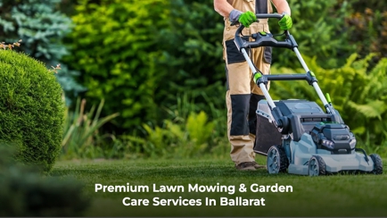 Premium Cut Lawns Hero Image