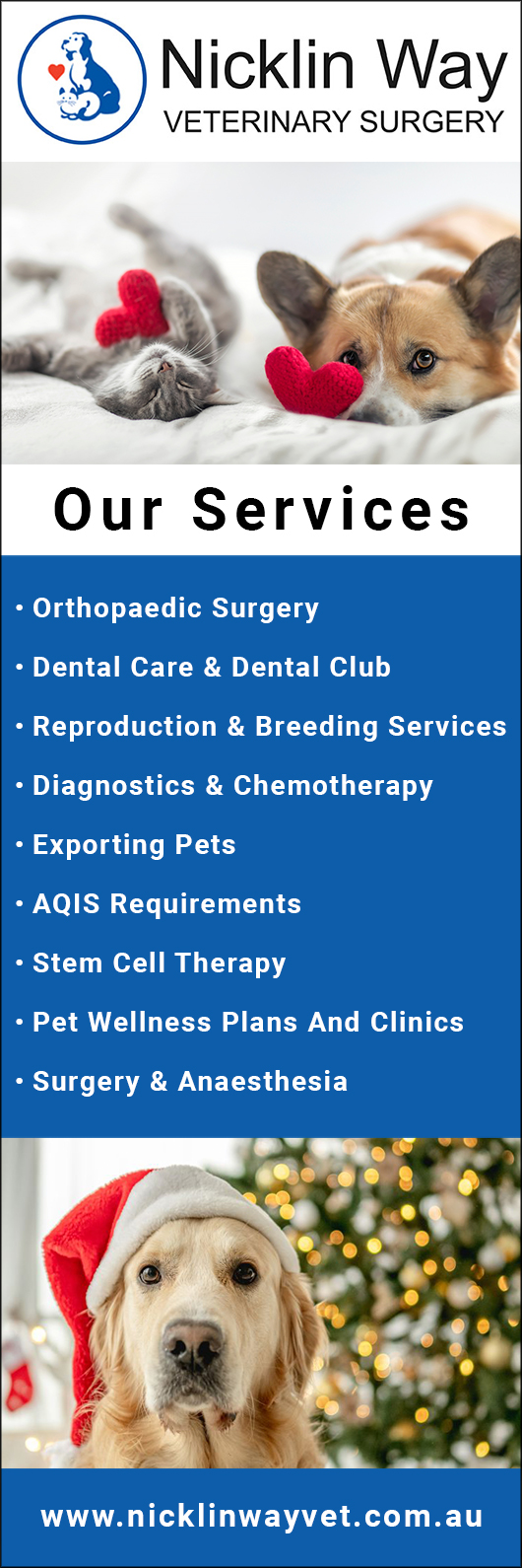 Nicklin Way Veterinary Surgery