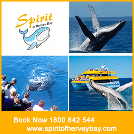 Spirit Of Hervey Bay Whale Watching