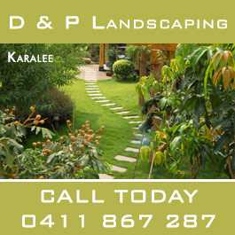 D & P Landscaping