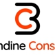 Brisendine Consulting