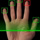 LiveScan FingerPrints - Fingerprinting